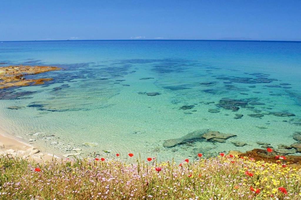 Apartment - Il Paradiso - Where Dreams Come True Valledoria  Εξωτερικό φωτογραφία